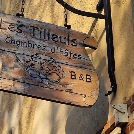 Les Tilleuls Neung-sur-Beuvron Exterior foto